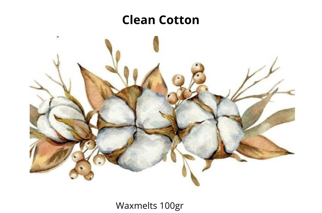 Waxmelt scoopies Clean Cotton