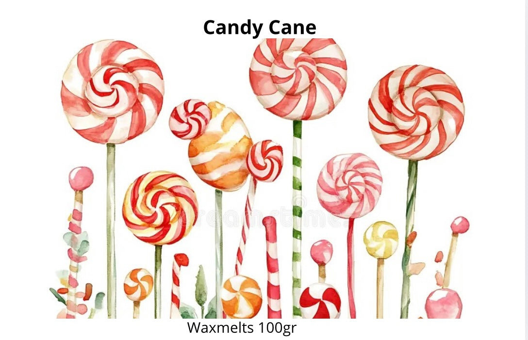 Waxmelt scoopies Candy Cane