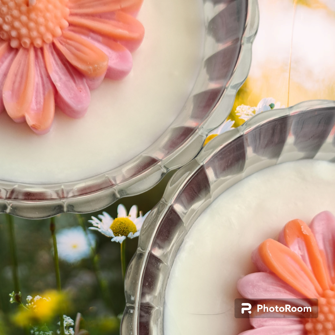Daisy Flower