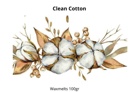 Waxmelt scoopies Clean Cotton