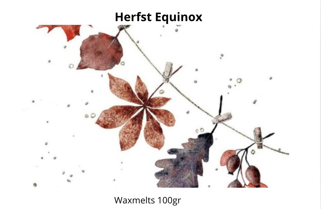 Waxmelt scoopies Herfst Equinox